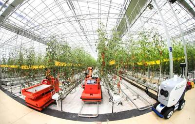 點點手機就能管理大棚，濰坊壽光以數字化賦能蔬菜產業升級