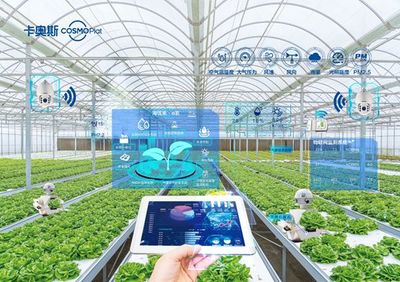 卡奧斯海優禾入選農業農村部信息中心優秀案例 科技點亮田間，智能管理賦能鄉村振興