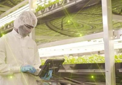 智慧農(nóng)業(yè)新浪潮 2021年全球九大植物工廠動態(tài)盤點與智能農(nóng)業(yè)管理趨勢